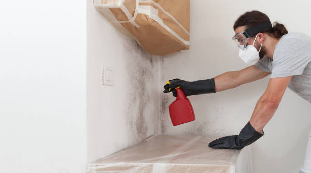 Professional Attic Mold Removal technician working in Mickleton, NJ