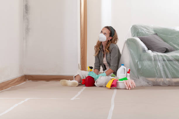Reliable Attic Mold Removal contractor in Mickleton, NJ by WQB Mold Removal