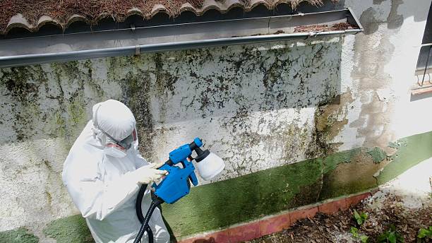 Top rated local Attic Mold Removal specialists in Mickleton, NJ